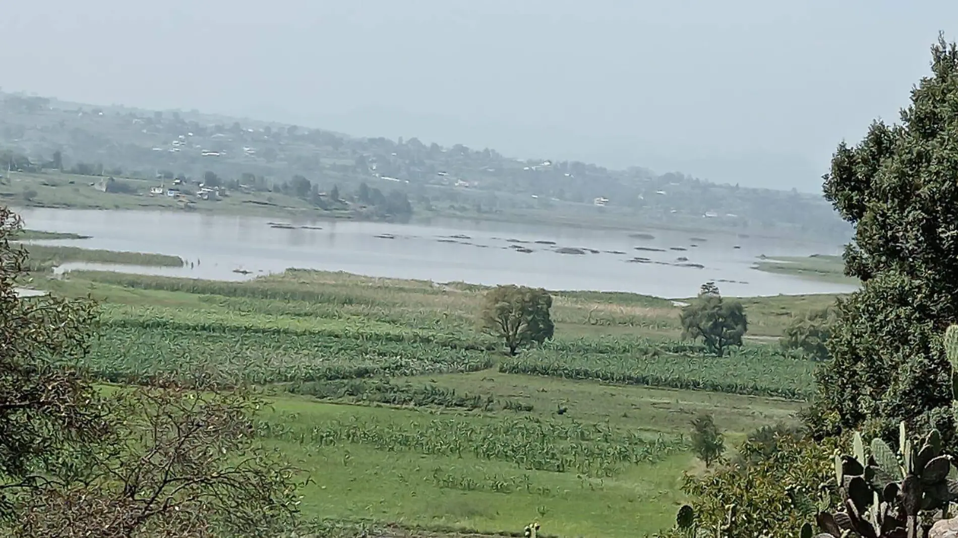 Presa niñas